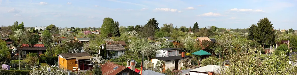 How to Start a Community Allotment or Garden Group in Cumbria